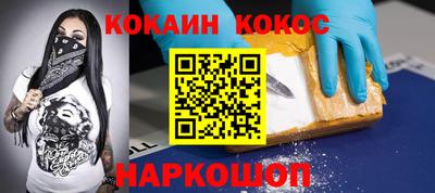 молекула духа Кингисепп