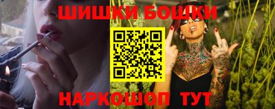 молекула духа Кингисепп