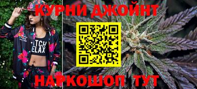 молекула духа Кингисепп