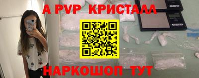 молекула духа Кингисепп